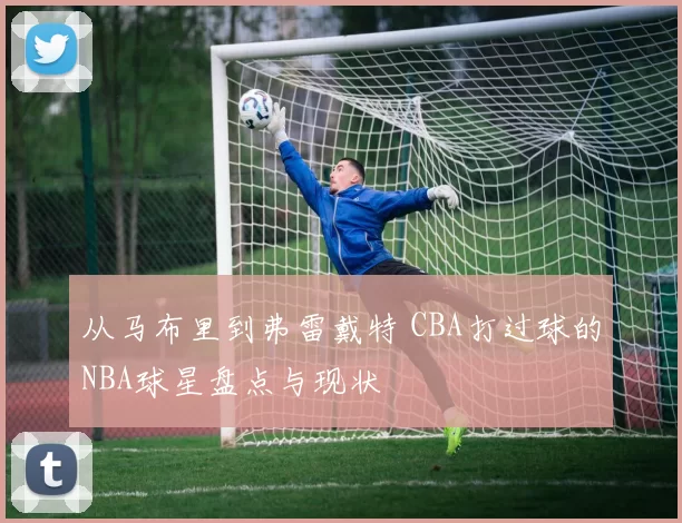 从马布里到弗雷戴特 CBA打过球的NBA球星盘点与现状