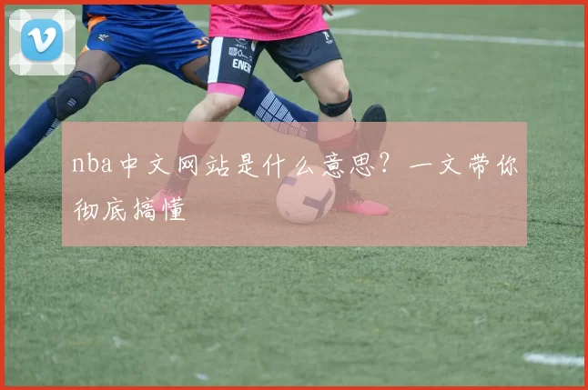 nba中文网站是什么意思？一文带你彻底搞懂